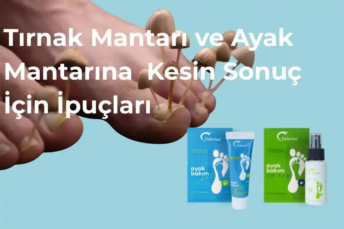 Tırnak Mantarı İçin Kaşık Mantarı Kremi: Etkili Bir Tedavi Seçeneği ve Kullanım İpuçları