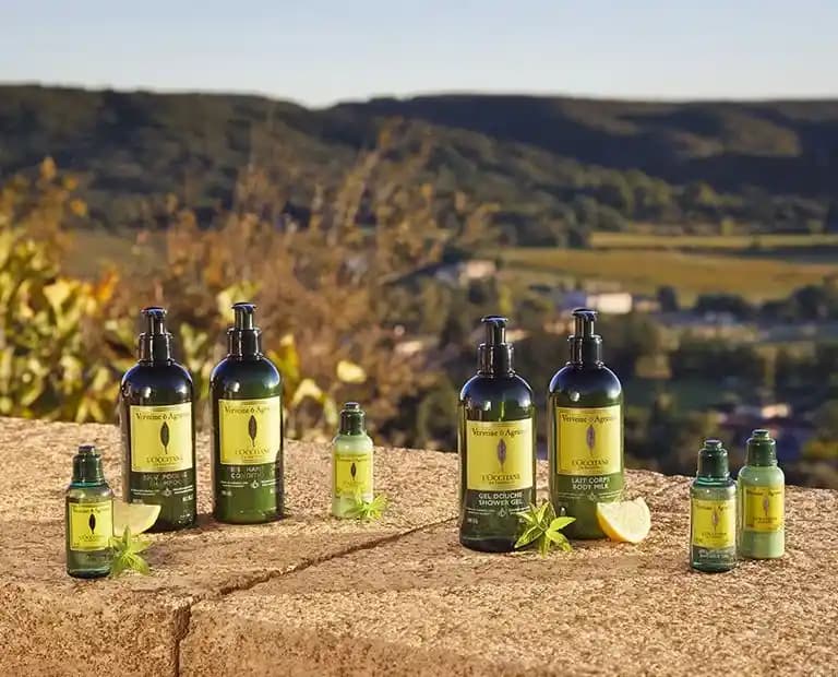 Türkiye'de Doğal ve Ekonomik Güzellik Ürünlerinin Temel Özellikleri ve Piyasa Durumu