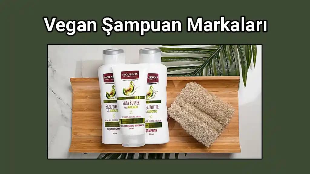 Türkiye’de Vegan Kozmetik Pazarı: Mevcut Durum ve Gelecek Perspektifleri