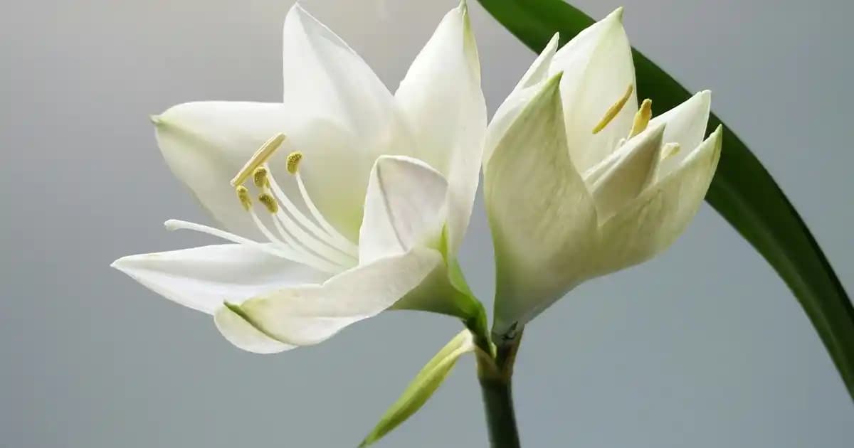 Uygun Fiyatlı B Vitamini Kozmetik Ürünleri Cilt, Saç ve Tırnak Sağlığını Destekler