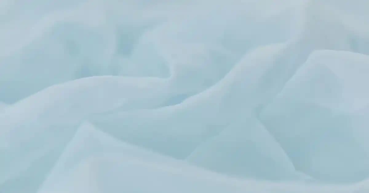 Vegan ve Bitkisel Şampuanlar ile Saç Sağlığını Güçlendirme Yöntemleri ve Doğal Bakım İpuçları