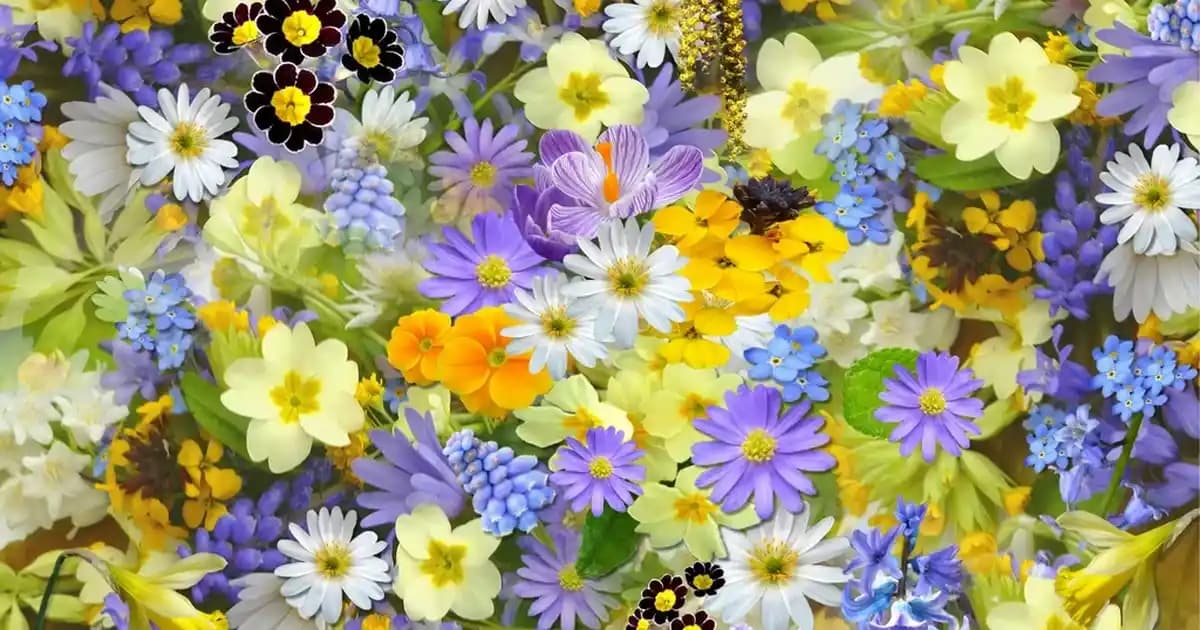 Venasila ve Objekozmetik Manikür Setleri: Özellikleri ve Kullanım İpuçları