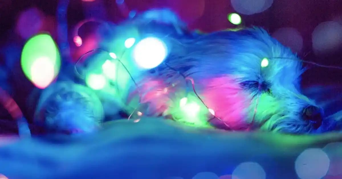 Vichy Akneye Eğilimli Ciltler İçin Jel Ürünleri: Güvenilir ve Etkili Temizlik Seçenekleri