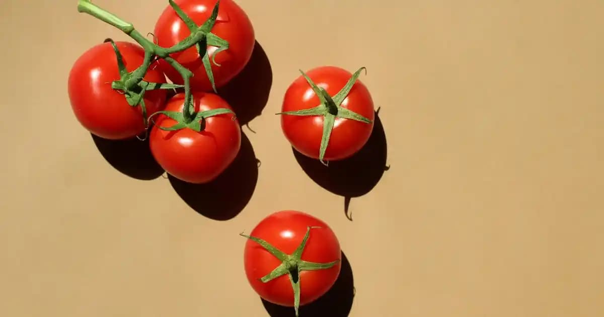 Yaz Ayları İçin Kalıcı ve Doğal Tropikal Parfümler: Ferahlatıcı ve Hafif Kokular