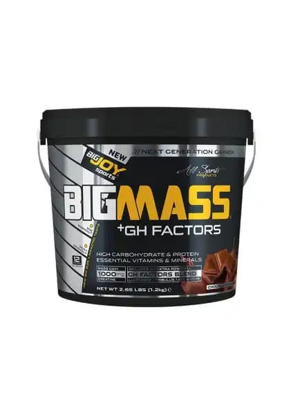 Bigjoy Bigmass ve High Nutrition Mass Gainer Karşılaştırması: Hangi Ürün Sizi Daha Çok Destekler? 1