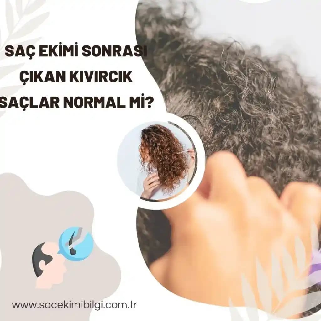 Düzleştirilmiş Kıvırcık Saçlarda Kuru ve Islak Fırçalamanın Saç Sağlığına Etkileri