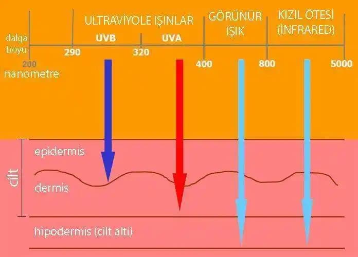 Güneş Koruyucular Bronlaşmayı Tamamen Engeller mi? Koruma Yöntemleri ve Etkinlikleri