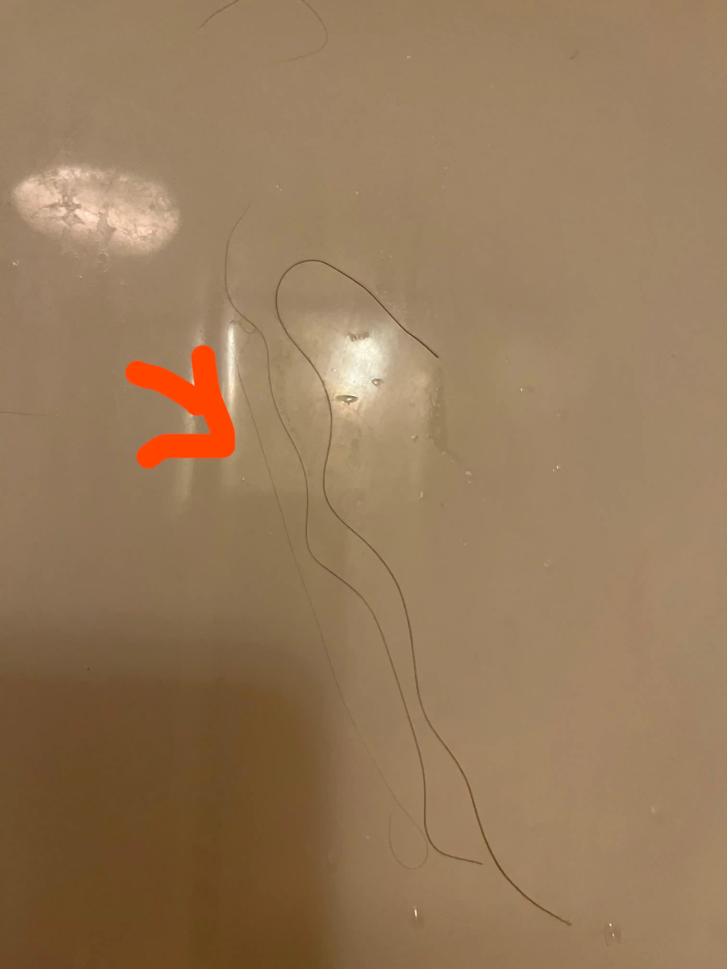 Saç Tellerinde Kalınlık Farklılıkları ve Saç Sağlığı Üzerindeki Etkileri