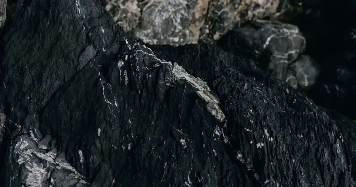 Aseptine Soft Krem ile Cilt Sağlığını Destekleyen Nemlendirici ve Koruyucu Ürün