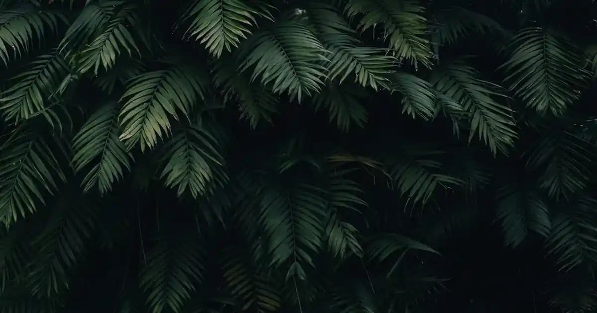 Bioderma Hydrabio Kremi: Hassas ve Dehidrasyona Eğilimli Ciltler İçin Güçlü Nemlendirme Çözümü