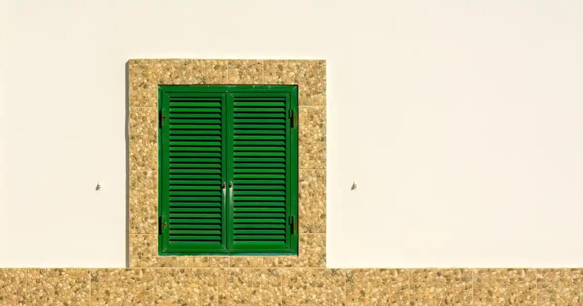 Boya Fırçaları: Çeşitleri, Malzeme Özellikleri ve Doğru Seçim İpuçları