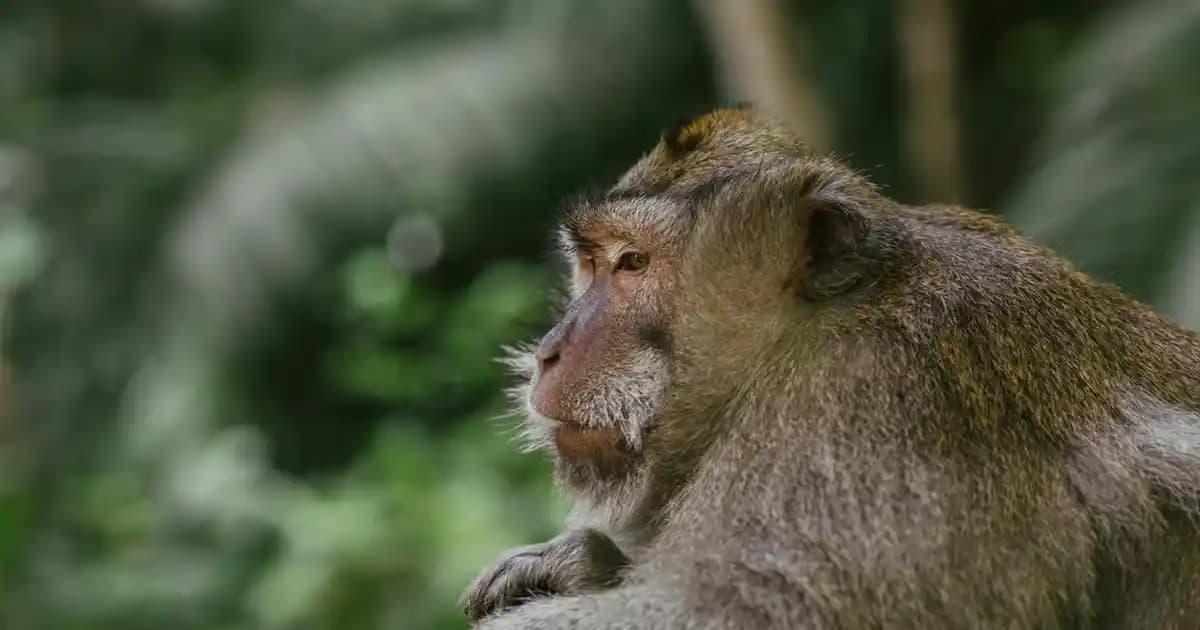 Caudalie Vinergetic C+ Instant Detox Mask ile Canlı ve Parlak Cilt Sağlayın