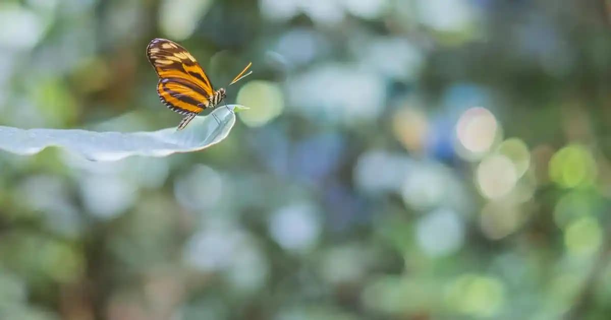 2025'te Cildinizde Devrim Yaratacak Caudalie Vinergetic C+ Serisi