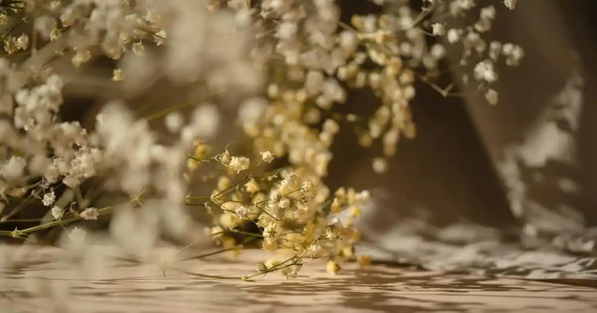 Çiçeklerin Kozmetik ve Güzellikteki Rolü: Doğal Bakım ve Sağlık İçin Kullanım Alanları