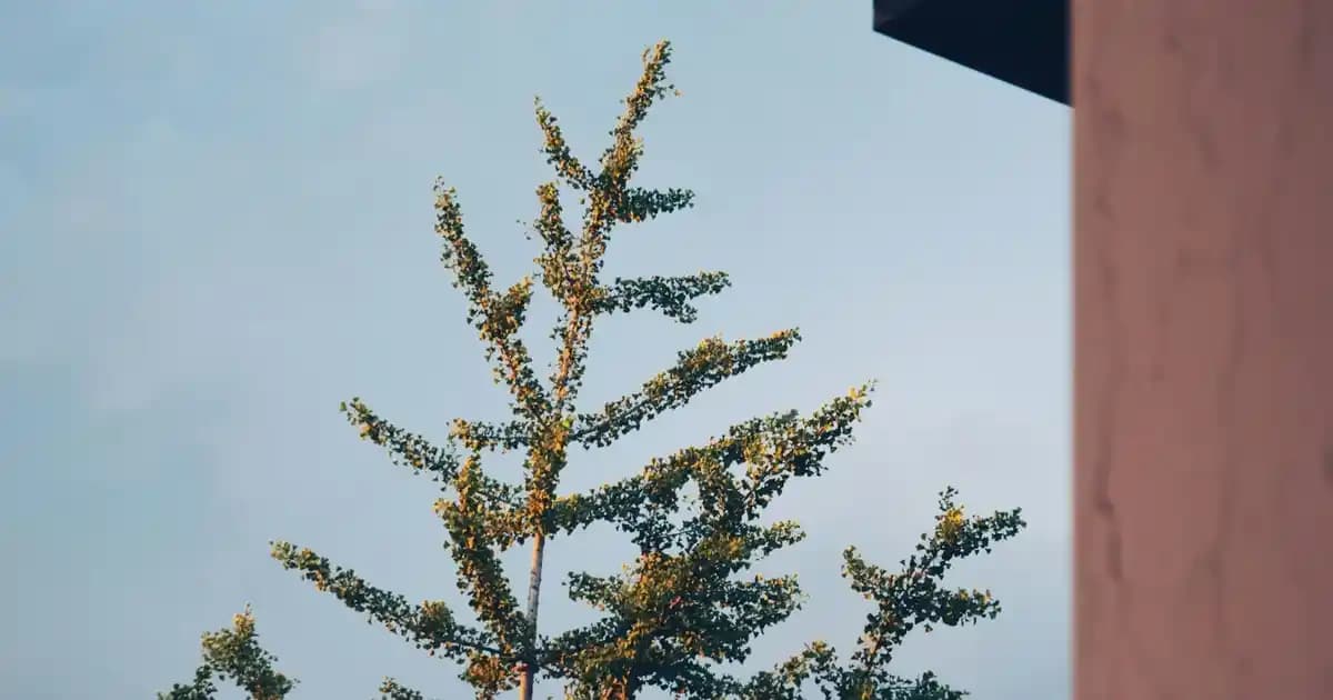 Cilt Bakımında Asitlerin Doğru Kullanımı ve Güvenli Kombinasyonlar Rehberi