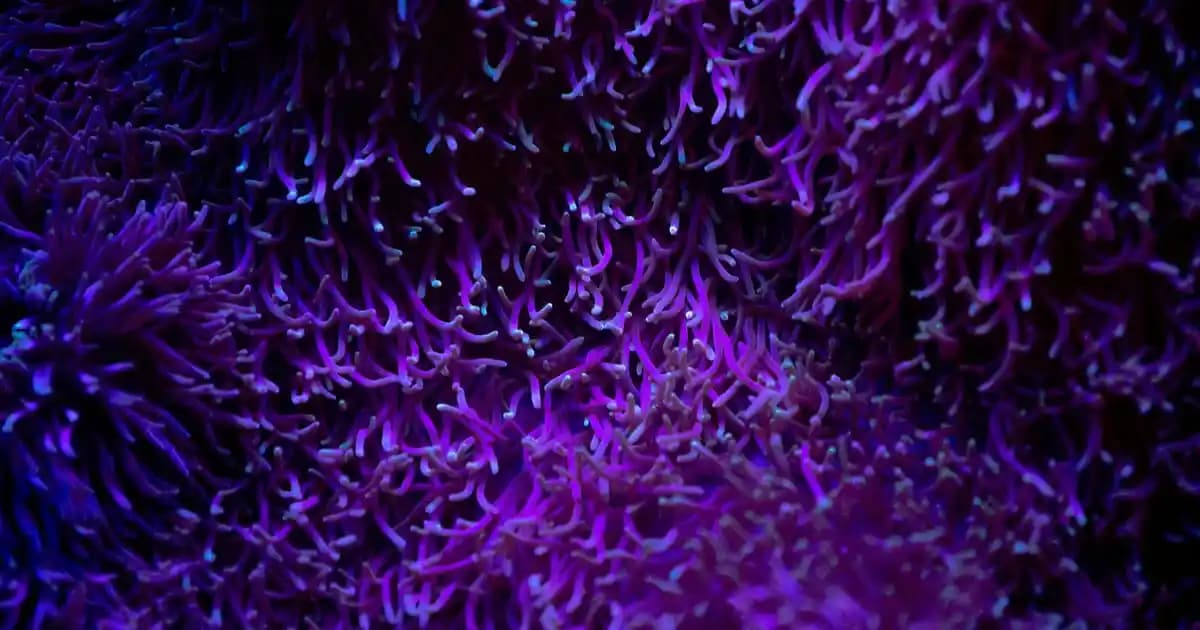 D3 ve K2 vitamini: Kemik, cilt ve damar sağlığını destekleyen önemli takviye kombinasyonu