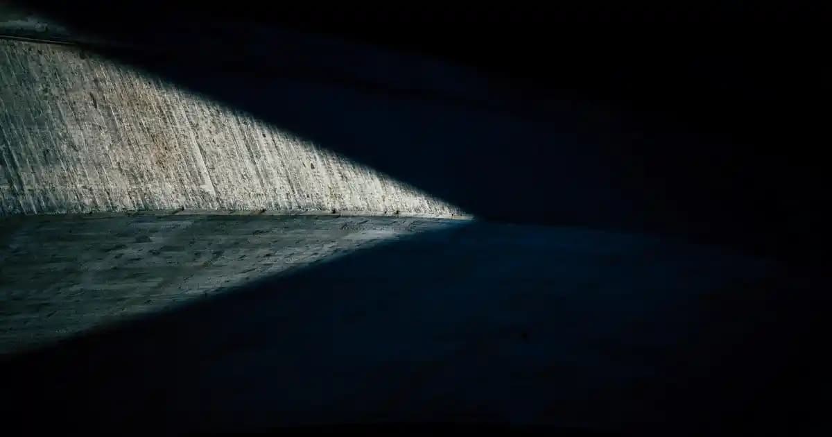 Dalan D'olive Zeytinyağlı Şampuanlar: Doğal Saç Bakımında Güçlü ve Güvenilir Seçenekler