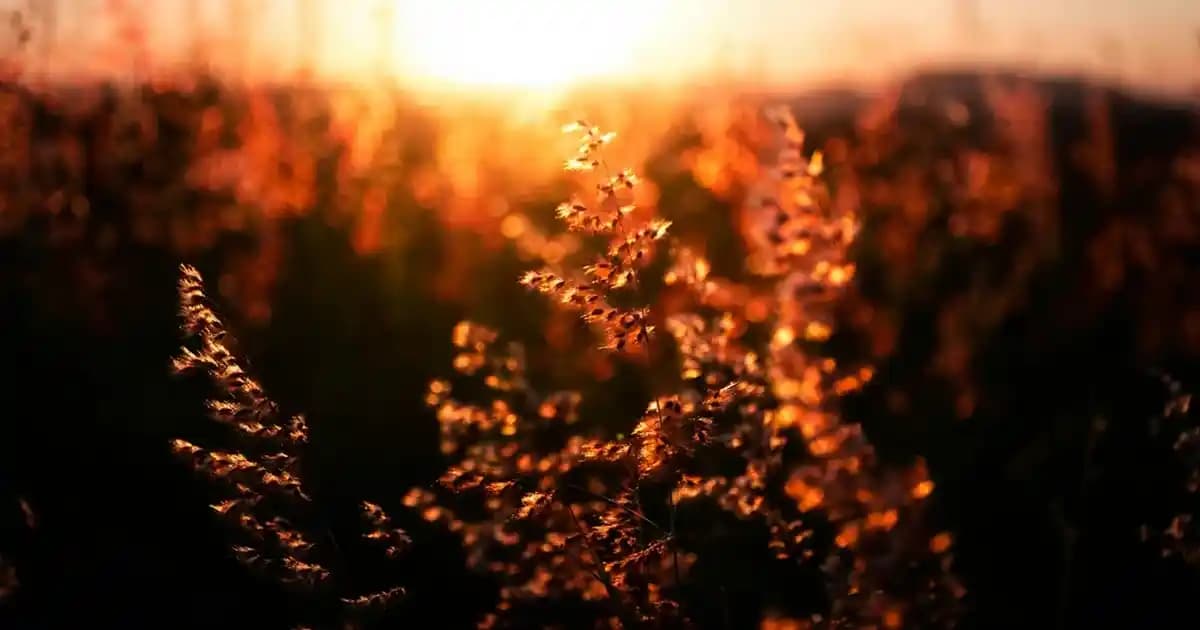 2025'te Ducray Keracnyl Temizleme Jeli ile Yağlı Ciltlerde Devrim