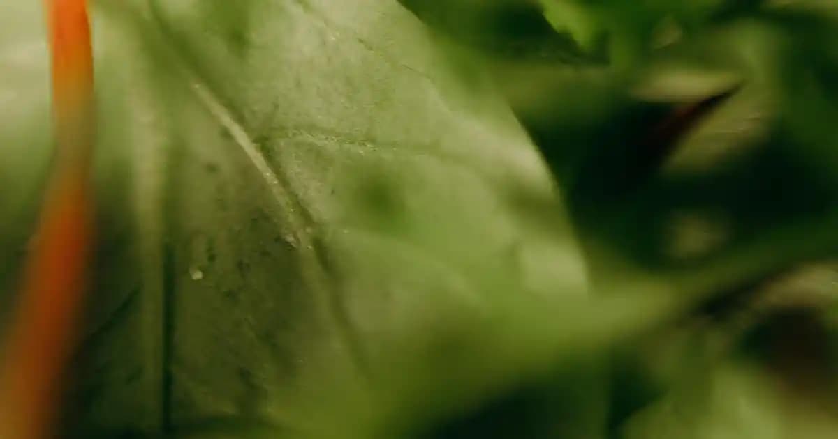 En İyi Güneş Kremleri Markaları ve Cilt Sağlığına Etkileri Hakkında Kapsamlı Rehber