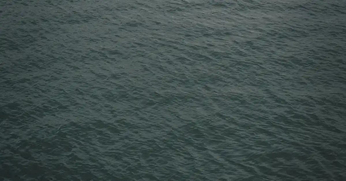 Eyüp Sabri Tuncer Hatıralar Serisi: Geleneksel ve Modern Kozmetik Ürünleri