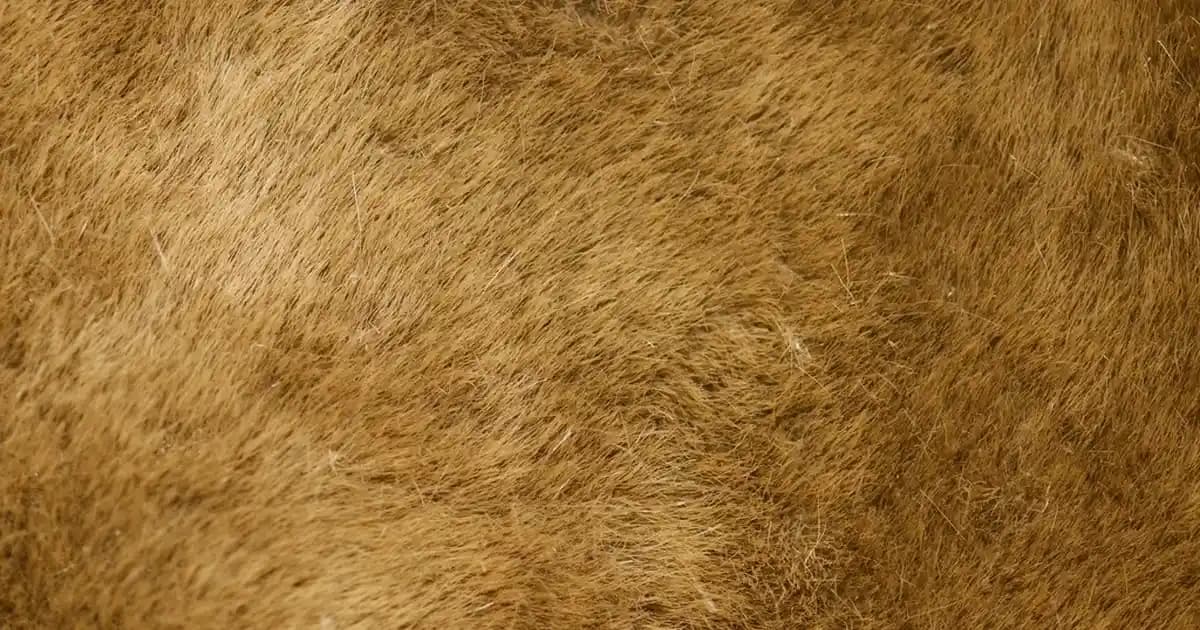 Flormar Glam Strobing Cream ile Doğal Parlaklık ve Işıltı Sağlayan Makyaj Ürünü