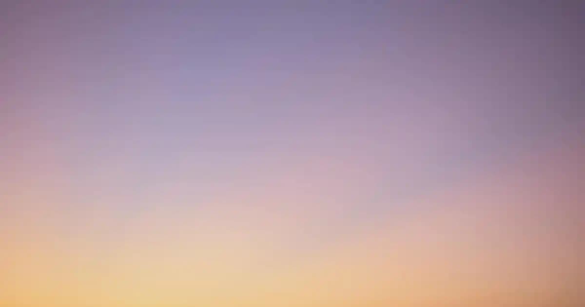 Flormar 2025’te Kirpiklerinizi Güçlendiren Yeni Maskara Serisiyle Tanışın