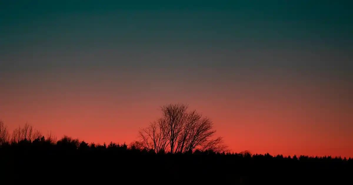 Gabrini Richmen Gold Erkeksi Zarafetin Simgesi Kalıcı ve Çok Yönlü Parfüm