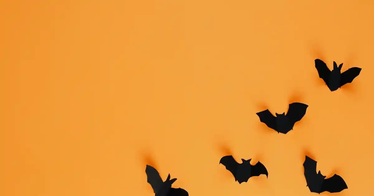 2025'te Garnier Koltuk Altı Roll-On ile Gün Boyu Ferahlığın 5 Sırrı