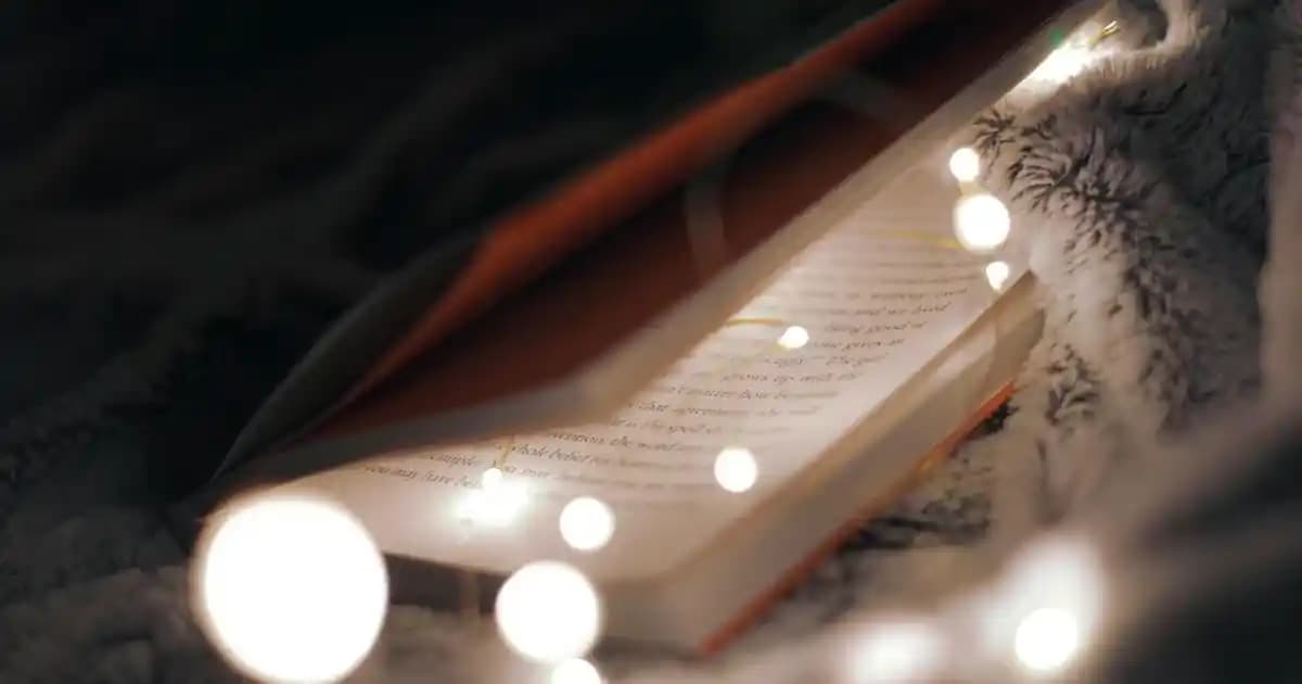 Hava Nemlendiricisine Hangi Yağlar Güvenle Kullanılır ve Doğru Seçim Nasıl Yapılır