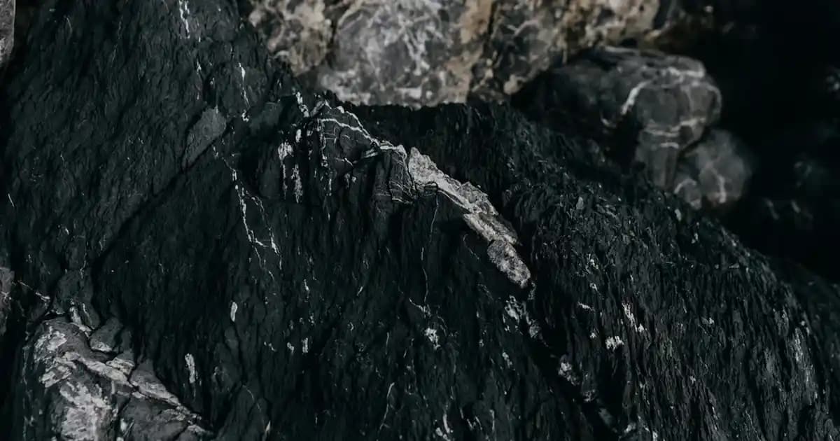 İçeriği Temiz Şampuanlar: Saç Sağlığı ve Doğal Bakım İçin Güvenilir Seçenekler