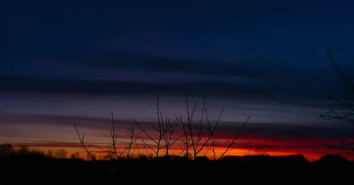 Kadınlar İçin Pharmaton: Kullanıcı Yorumları ve Etkileri Üzerine Detaylı İnceleme