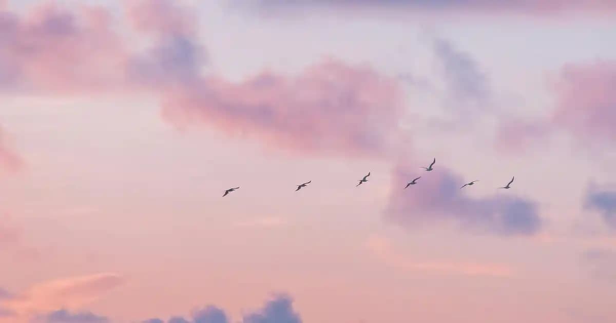 Keratin Saç Bakımı Nasıl Yapılır? Adım Adım Rehberle Saçlarınızı Güçlendirin