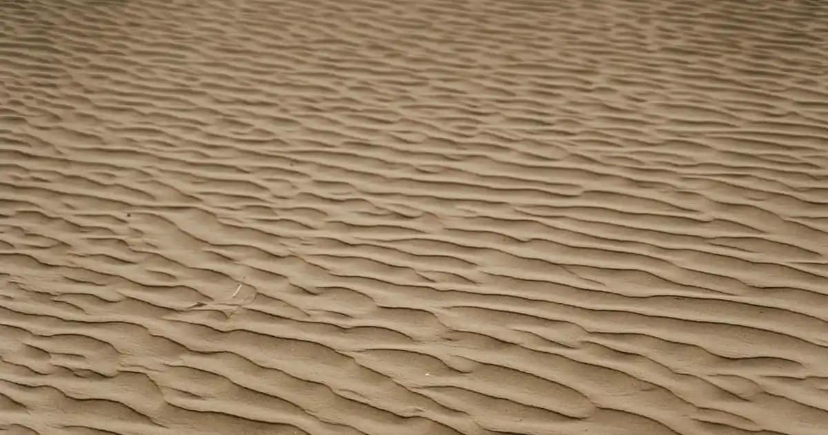 2025'te Koyu Patlıcan Moru Saç Boyasıyla Tarzınızı Baştan Yaratın