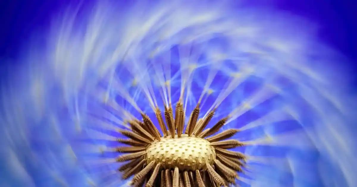 Kozmetik Dünyasında Redoxon Vitamin: Cilt Sağlığını Güçlendiren İçsel Destek