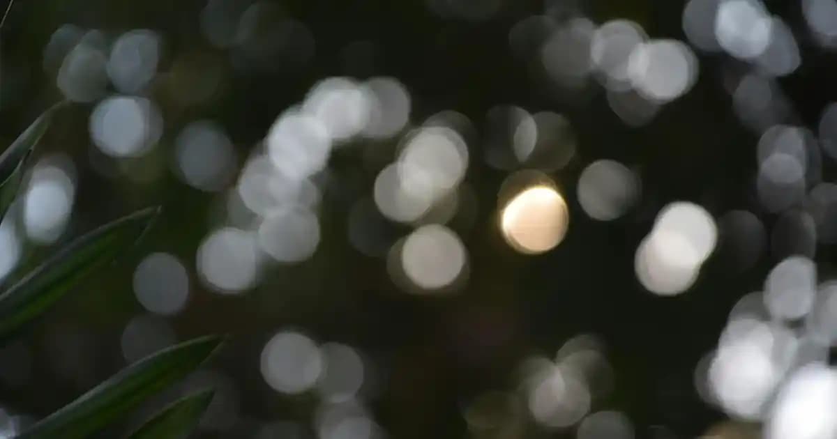 L'Oreal 8.1 Medium Ash Blonde ile Gri Saçlara Doğal ve Kalıcı Renk Seçenekleri