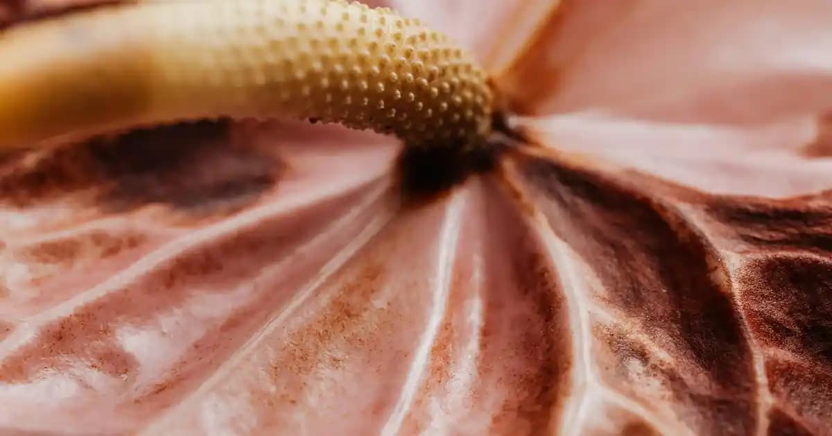 L'Oréal'in Dijital Varlığı ve Kozmetik Sektöründeki Yenilikçi Stratejileri