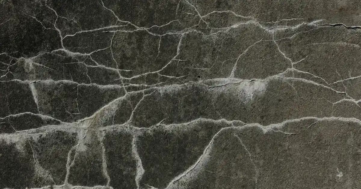 Makyöz Kelimesinin Doğru Yazımı ve Kozmetik Sektöründeki Önemi Hakkında Bilgiler