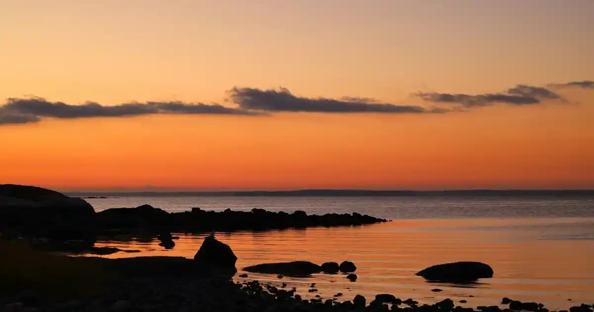 Nivea Deodorant ve Alüminyum İçeriği Hakkında Bilmeniz Gerekenler