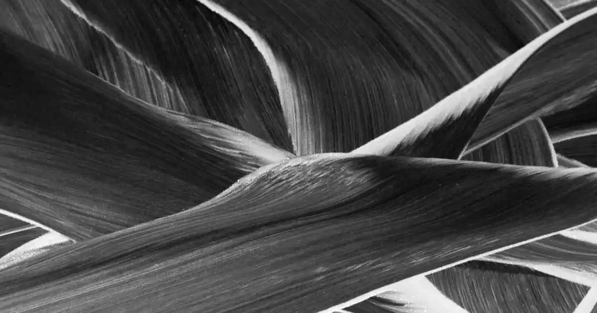 2025'te OGX Şampuanlarıyla Saç Bakımında Doğanın Gücünü Keşfedin