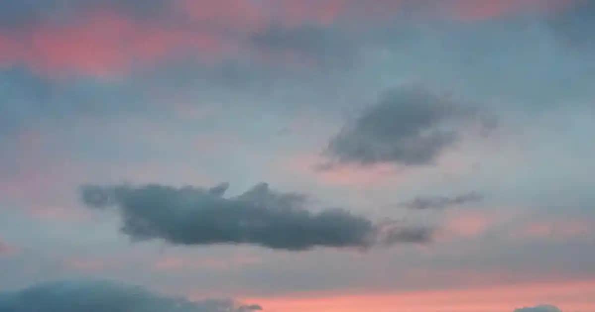 Protez Bacak Kullanıcılarının Deneyimleri ve Günlük Hayattaki Yansımaları