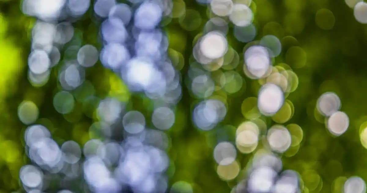 Saç Nem Bombası Nedir ve Saç Sağlığını Artırıcı Kullanım İpuçları