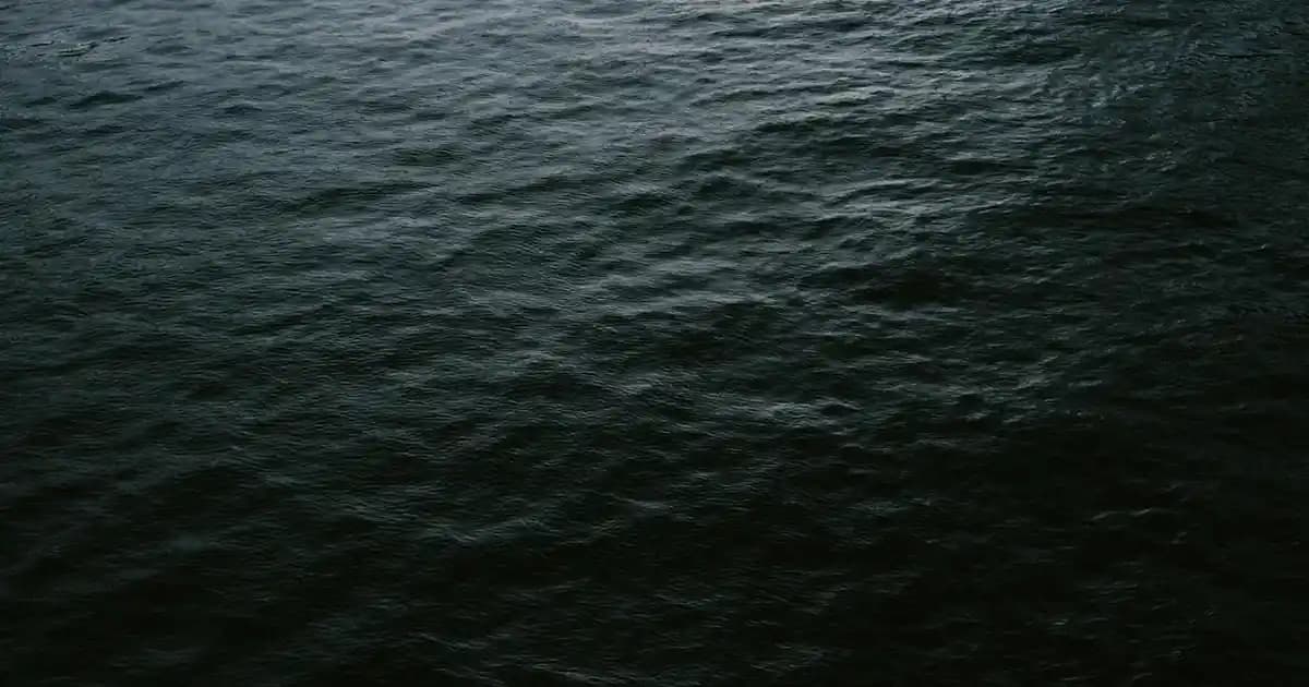 Sarımsaklı Şampuanın Faydaları ve Doğal Saç Bakımında Kullanım İpuçları