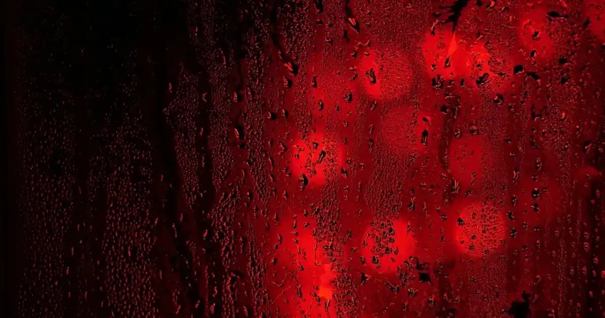 Saşe Kullanımı ve Faydaları: Doğru Uygulama Yöntemleri ve İpuçları