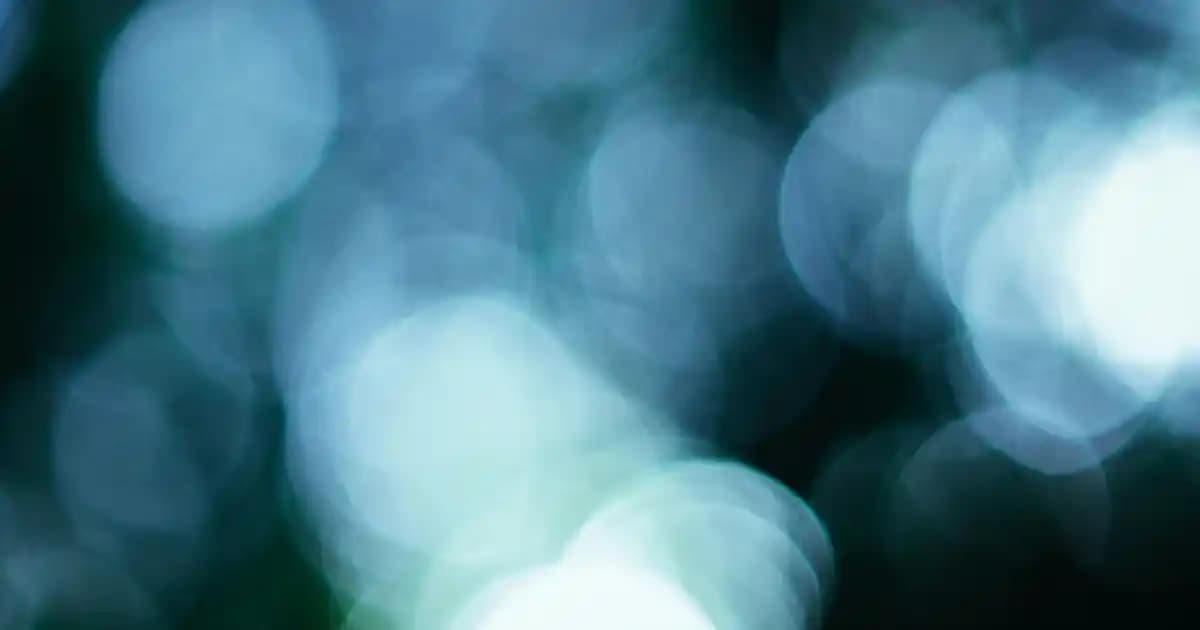 2025'te She Vec Red of Love ile Cilt Yenilenmesinde Devrim