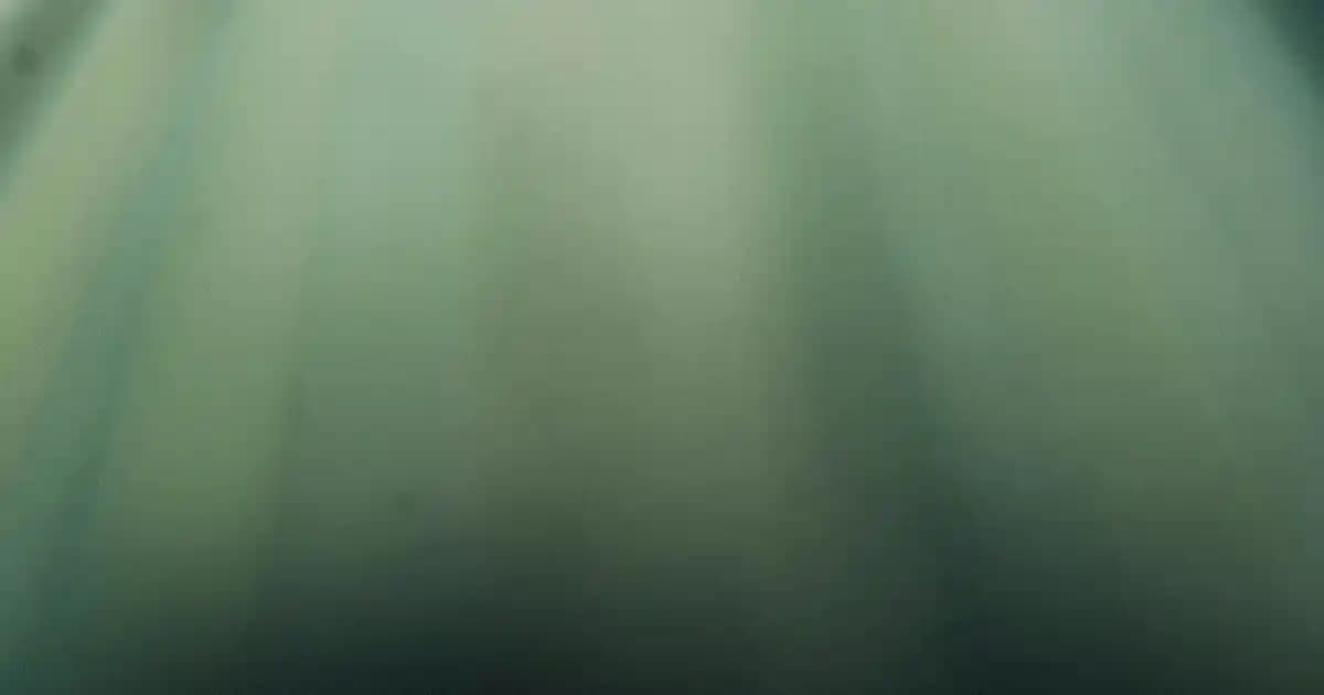 2025'te Solante Immuna ile Güneşin Sert Yüzüne Karşı Cildinizi Koruyun