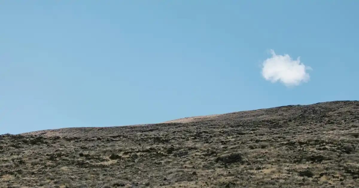 Solgar Artichoke Takviyesi: Doğal İçeriklerle Cilt ve Sağlık Desteği