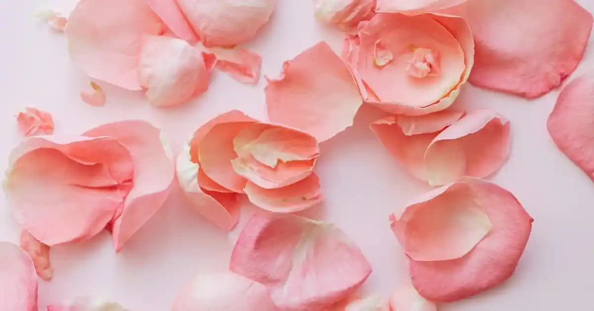 2025'te Kirpiklerinizi Baştan Yaratacak Telescopic Lift Maskara Sırları