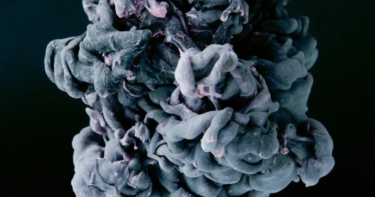 Voonka One & Only HSN Multivitamin: Sağlıklı Yaşam ve Güzellik İçin Güçlü Takviye