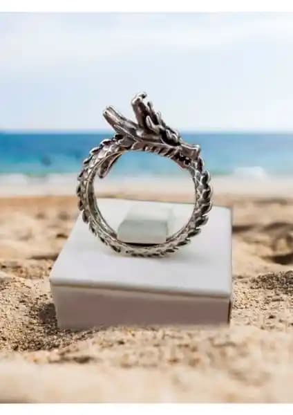 Antik Güçlü Kaplama Ejderha ve Siyah Şövalye Yüzükleri Karşılaştırması