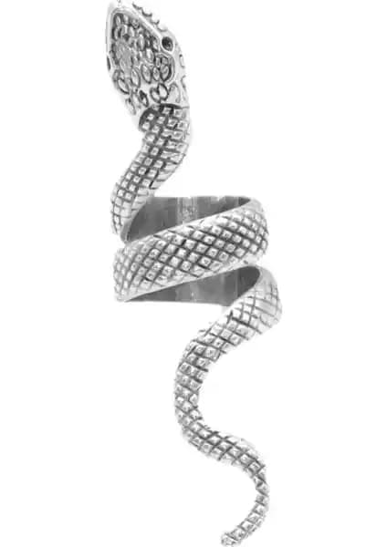 Erkekler İçin Antik Gümüş ve Siyah Kaplama Yüzükler Karşılaştırması